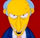 Mr.Burns73