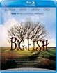 Big Fish (2003) (US Import ohne dt. Ton) Blu-ray