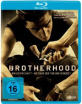 Brotherhood: Bruderschaft - Bis dass der Tod uns scheidet Blu-ray