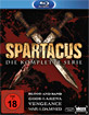 Spartacus: Blood and Sand + Gods of the Arena + Vengeance + War of the Damned (Die komplette Serie) (Neuauflage) Blu-ray