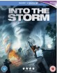 Into the Storm (2014) (Blu-ray + UV Copy) (UK Import) Blu-ray