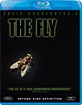 The-Fly-US_klein.webp The-Fly-US_klein.webp