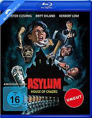 Asylum - Irrgarten des Schreckens Blu-ray