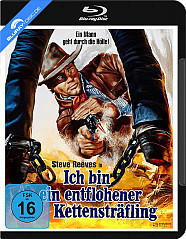 ich-bin-ein-entflohener-kettenstraefling-1968-2k-remastered-de_klein.jpg ich-bin-ein-entflohener-kettenstraefling-1968-2k-remastered-de_klein.jpg