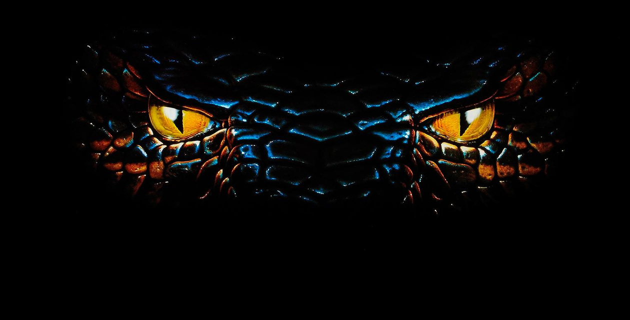 Anaconda_1997_Slider.jpg Anaconda_1997_Slider.jpg