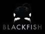Blackfish-News.jpg Blackfish-News.jpg