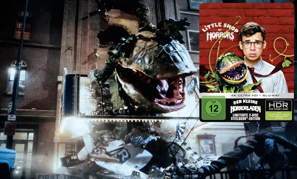 Der kleine Horrorladen 4K SB Der kleine Horrorladen 4K SB