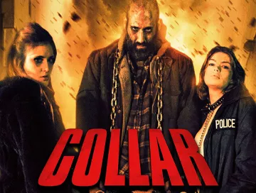 Collar_News.webp Collar_News.webp