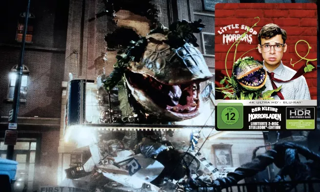 Der kleine Horrorladen 4K SB Der kleine Horrorladen 4K SB