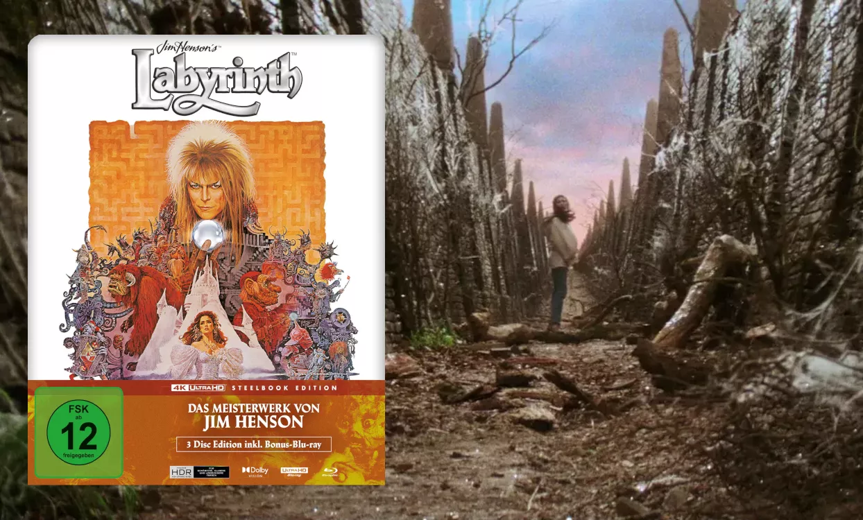 Die Reise ins Labyrinth 4K SB Die Reise ins Labyrinth 4K SB